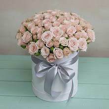 Цветочная композиция из Розы в шляпной коробке #REPLACE_PRED# Терской