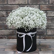 Цветочная композиция из Гипсофила в шляпной коробке #REPLACE_PRED# Терской