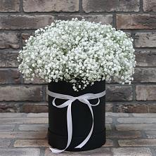 Цветочная композиция из Гипсофила в шляпной коробке в Терской